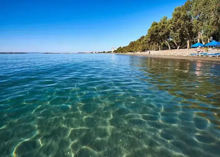 Boutique & Brand New Prime Location Park & * Limisso